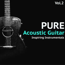 Cover of Pure Acoustic Guitar, Vol. 2