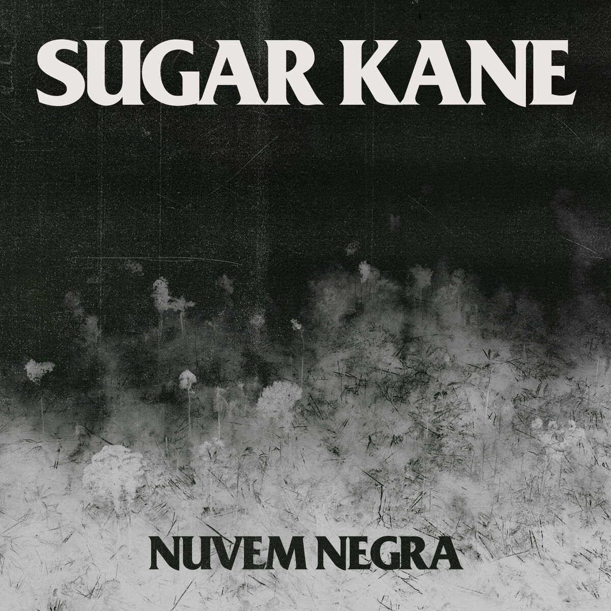Album cover of Nuvem Negra