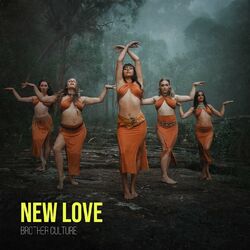 Cover of New Love