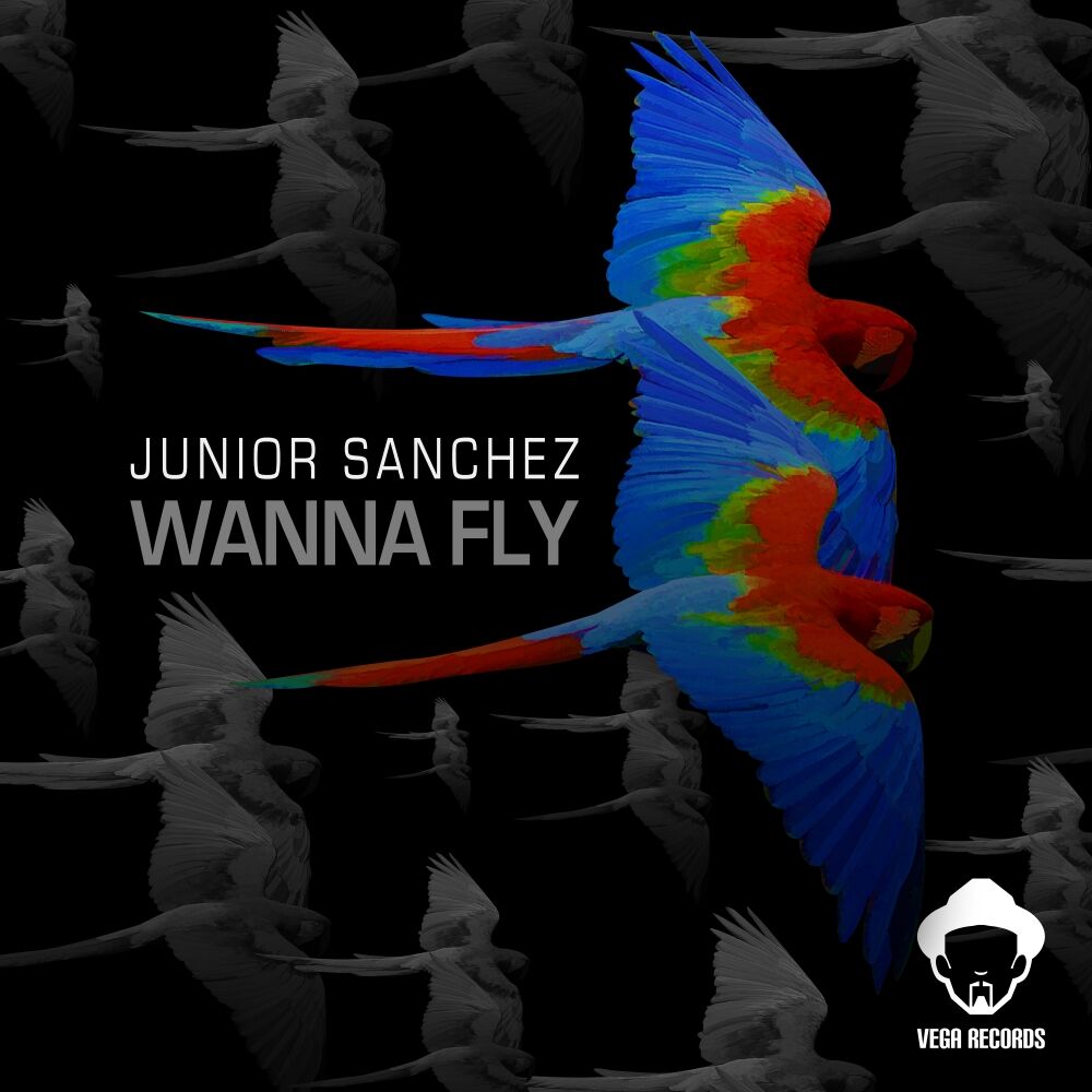 Picture of Wanna Fly