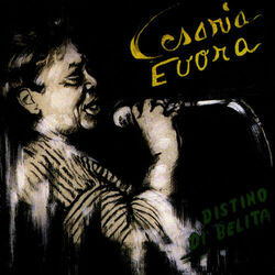 Cover of Distino di belita