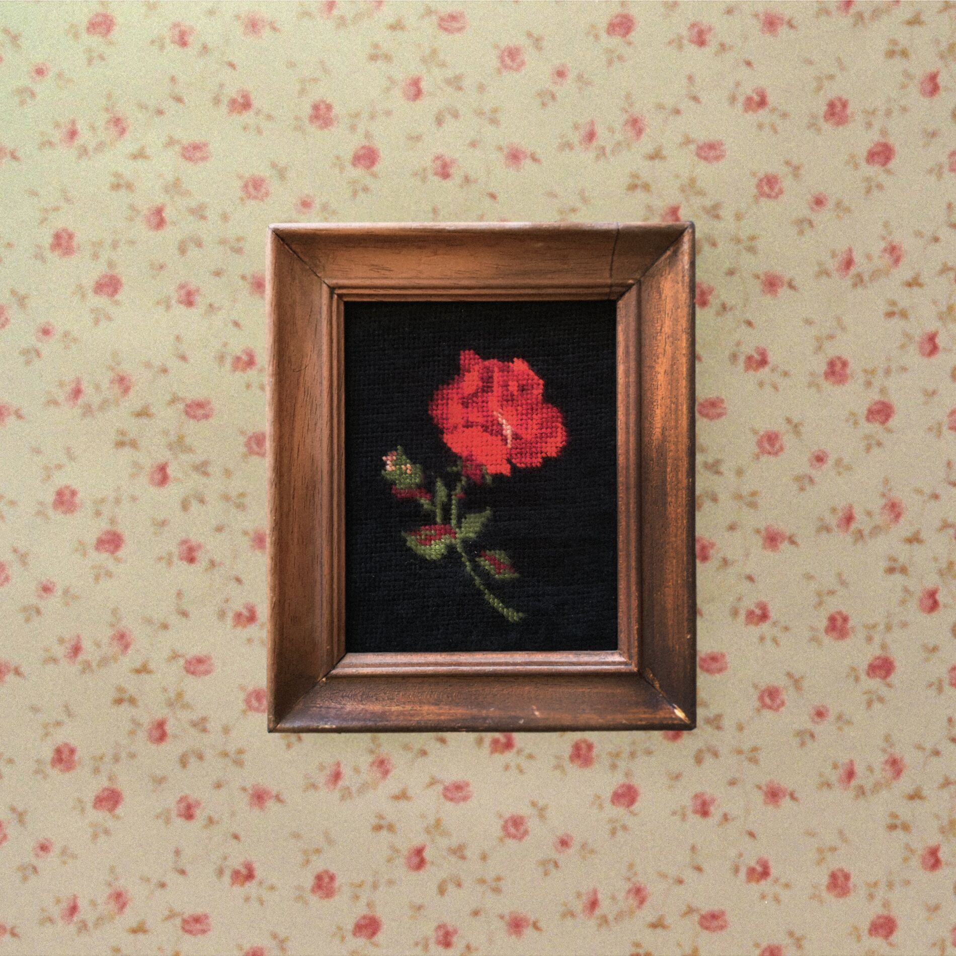 Album cover of Les fleurs séchées