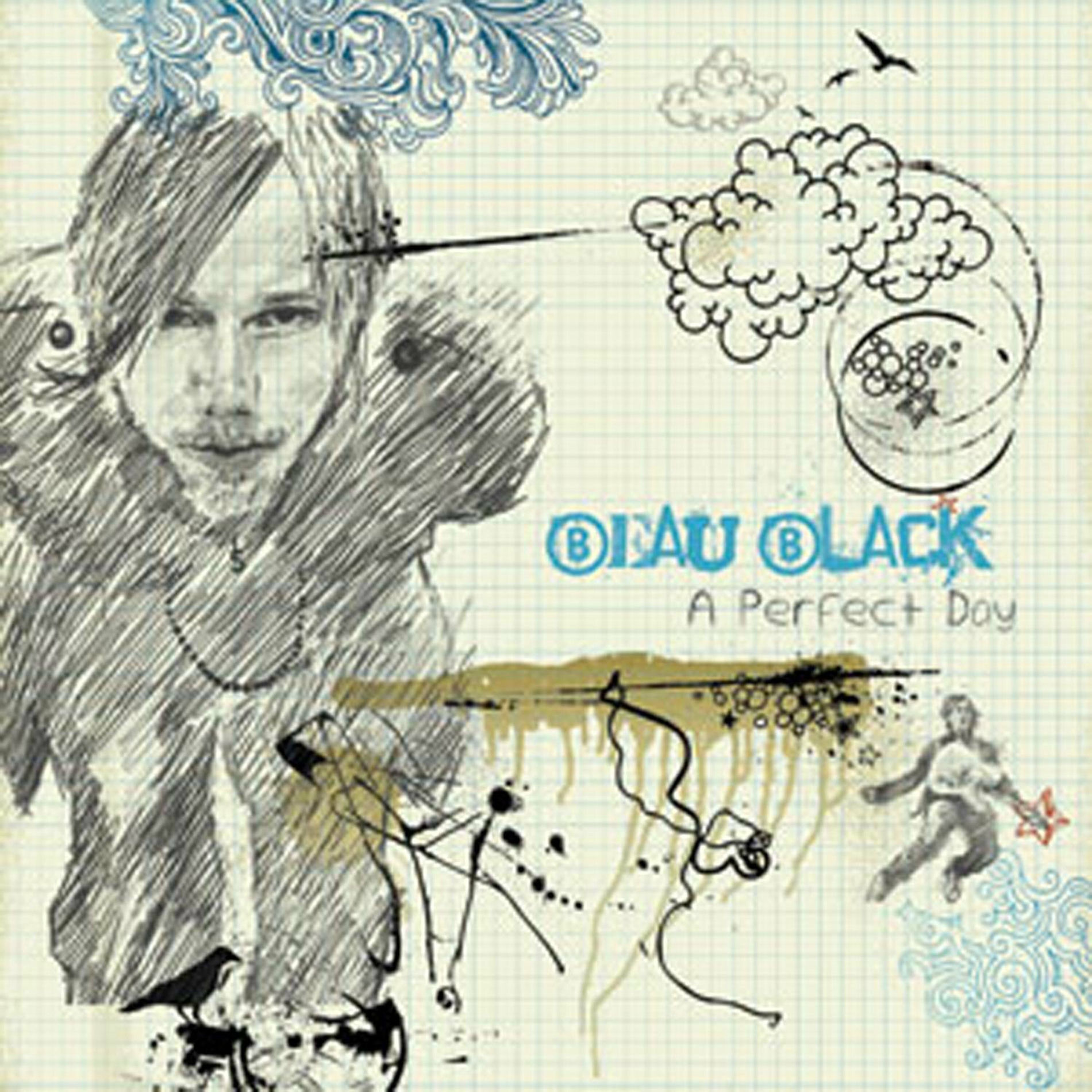 Album cover of Perfect Day