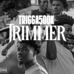 Cover of Trimmer