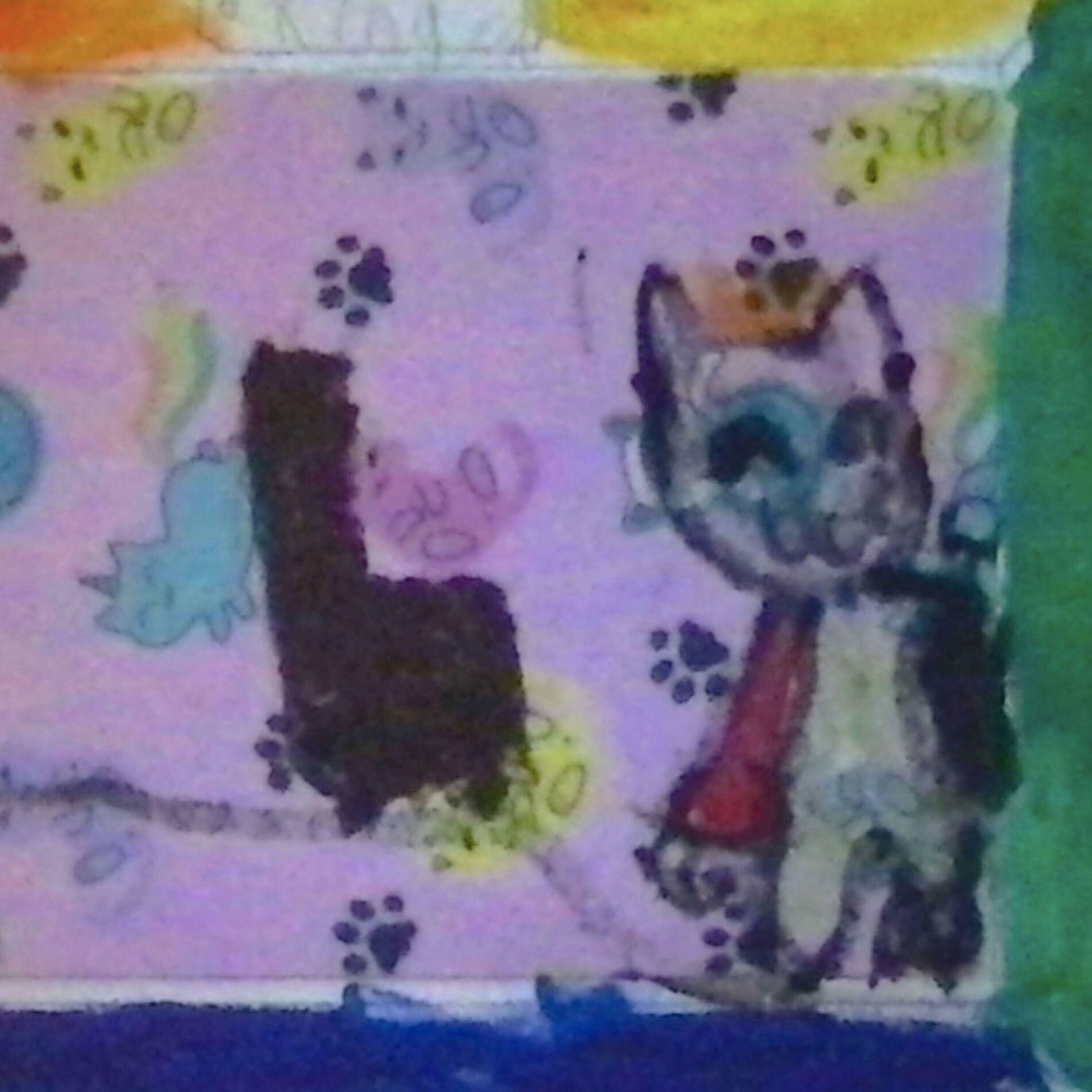 Album cover of King Cat