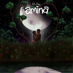 Cover of Amina
