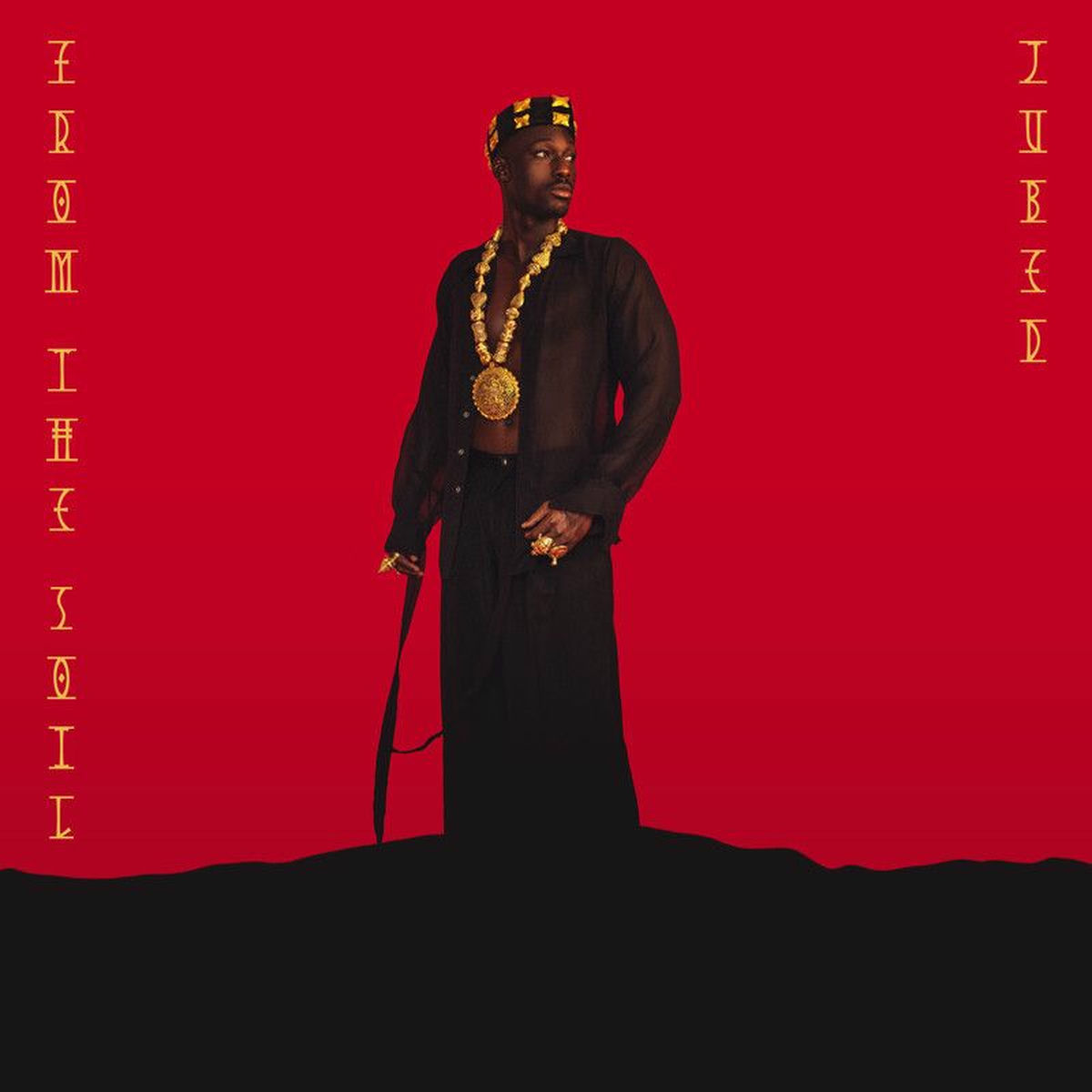 Album cover of From The Soil