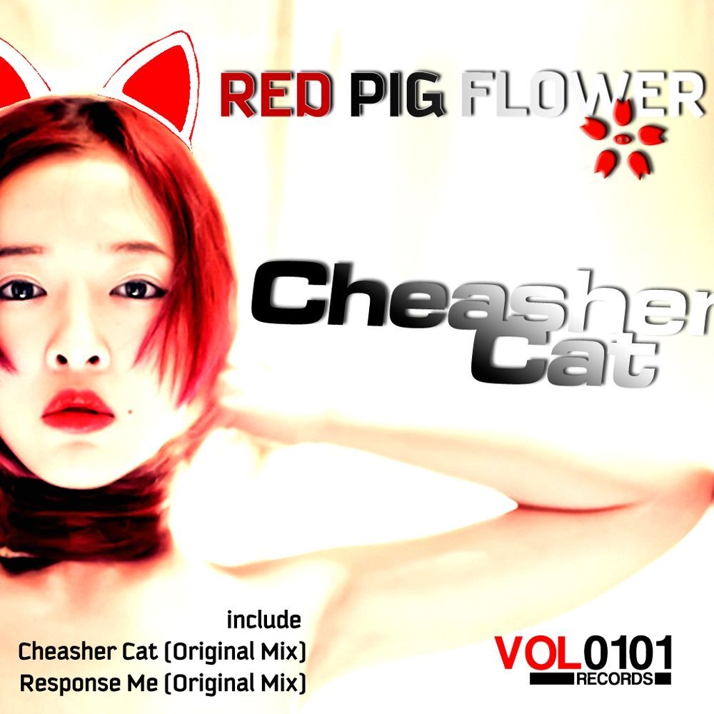 Picture of Cheasher Cat