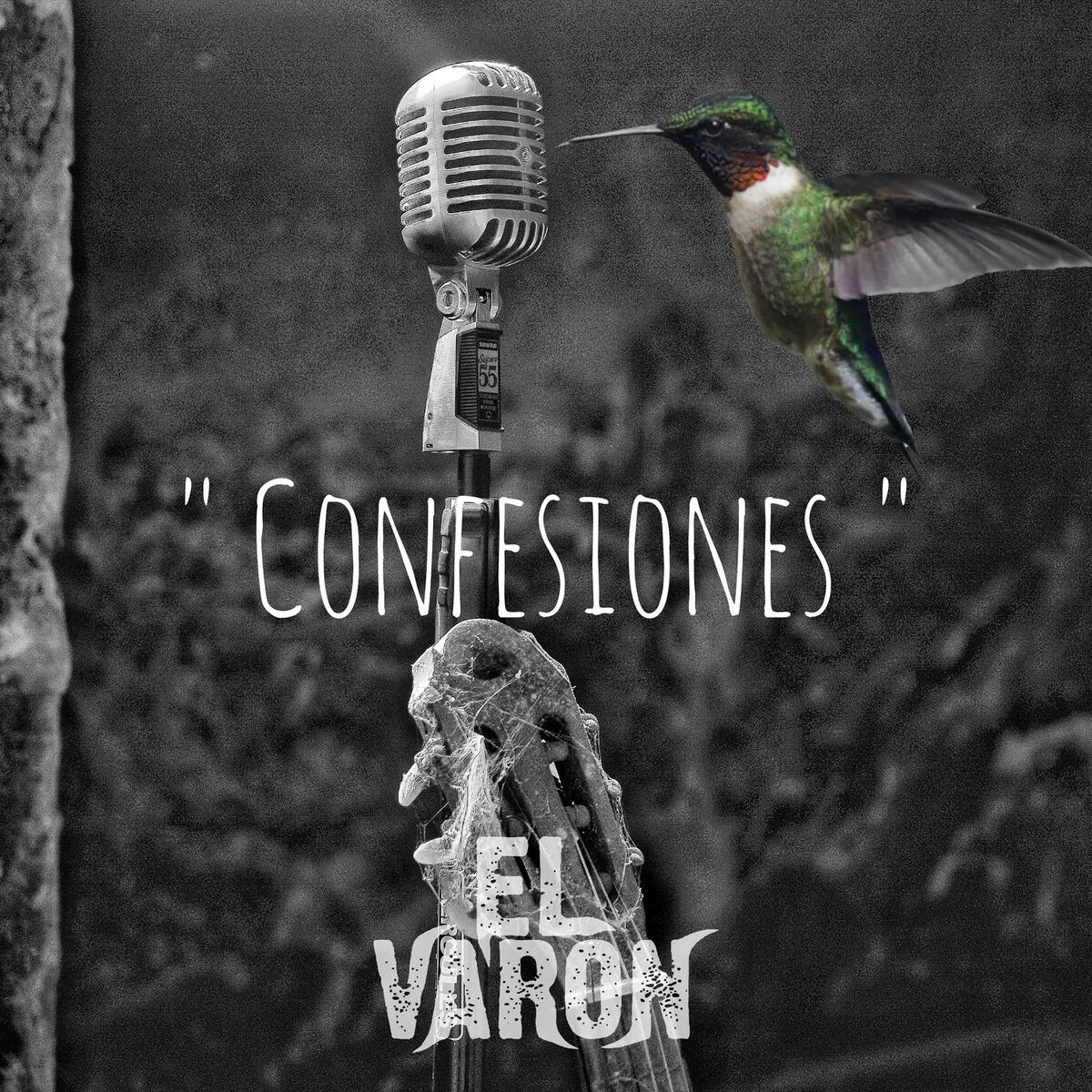 Album cover of Confesiones