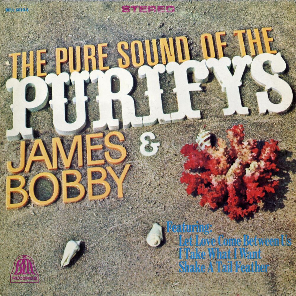 Picture of The Pure Sound Of The Purifys
