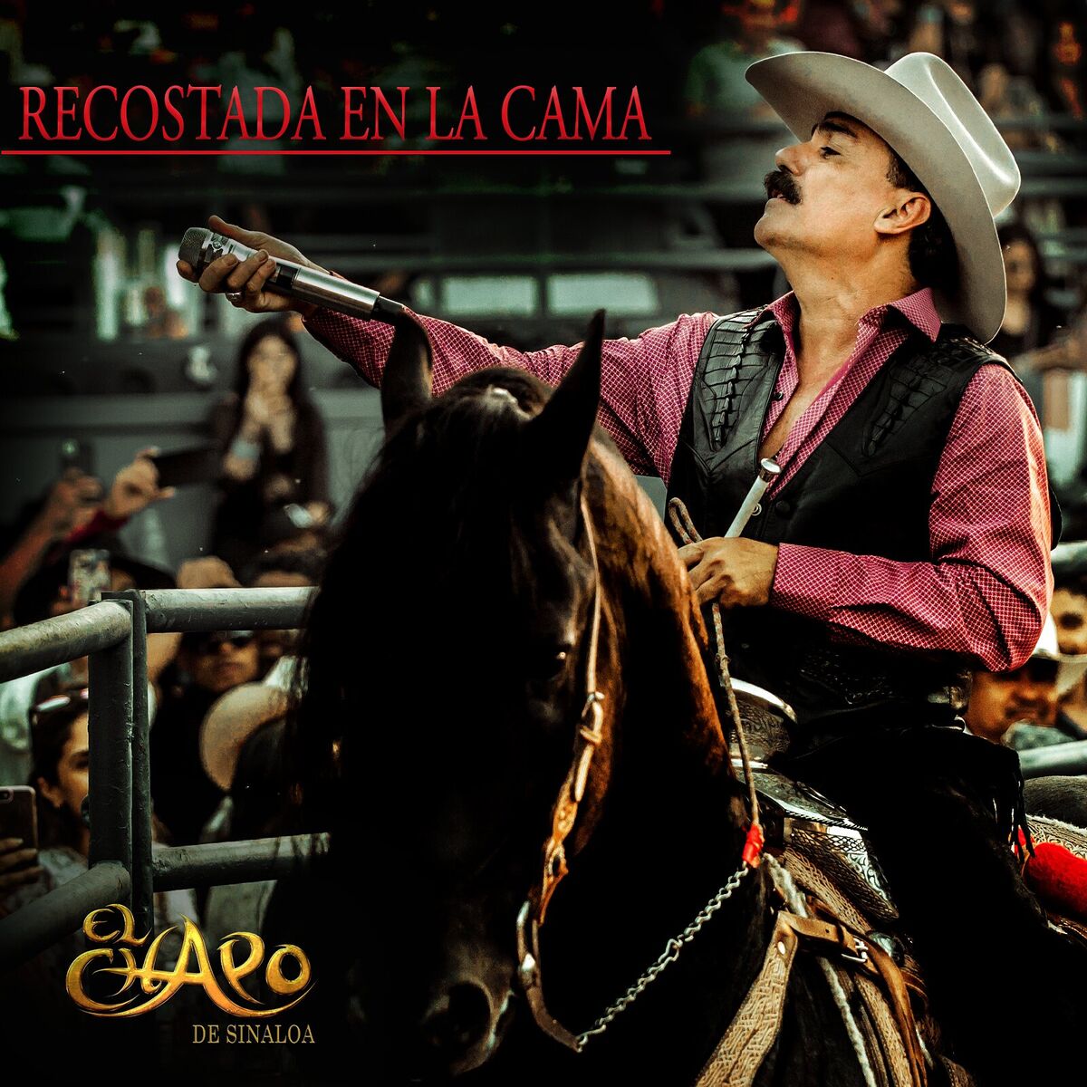 Album cover of Recostada En La Cama