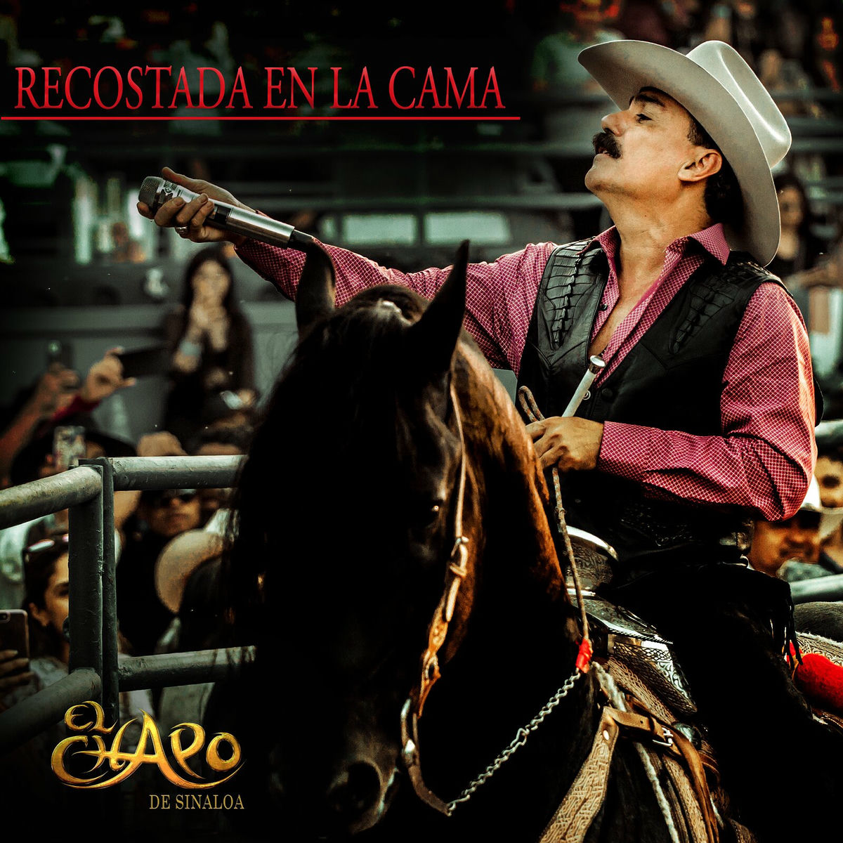 Album picture of Recostada En La Cama