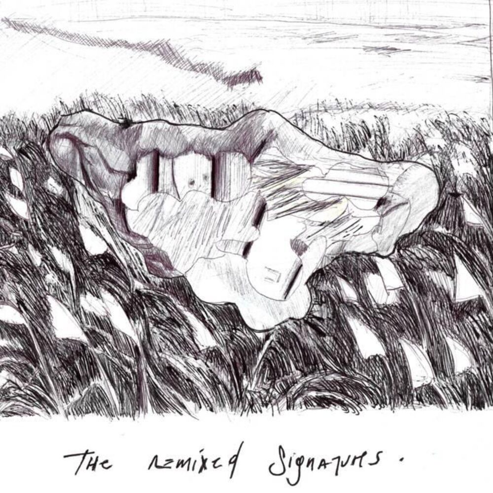Picture of The Remixed Signatures (Remix)