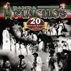 Cover of 20 Años De Exitos En Vivo