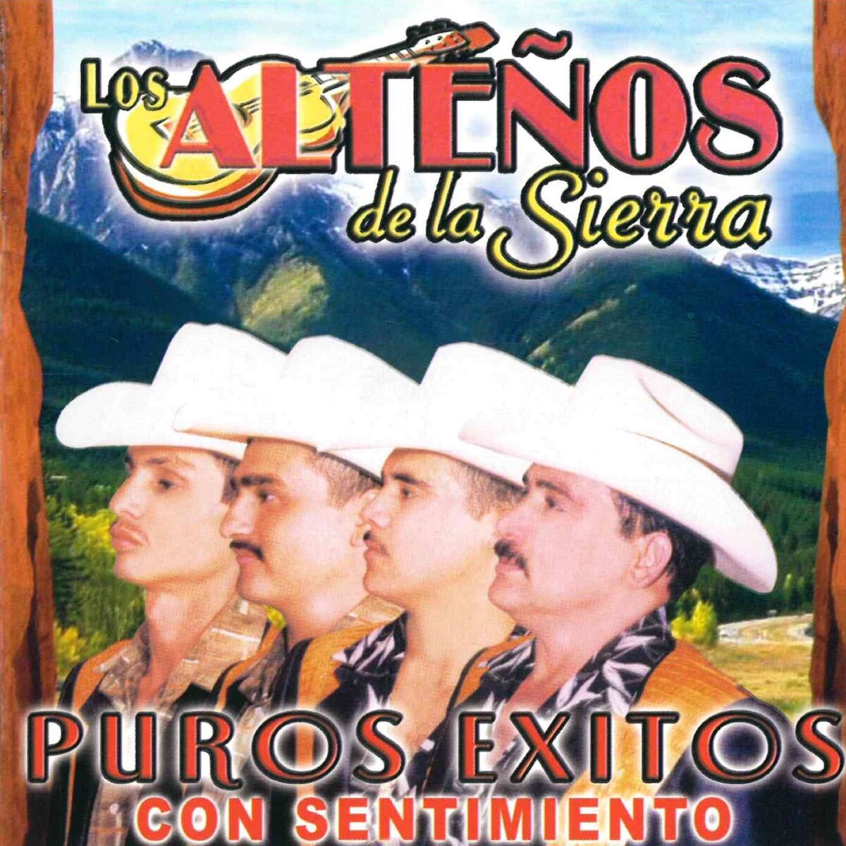Album cover of Puros Exitos Con Sentimiento