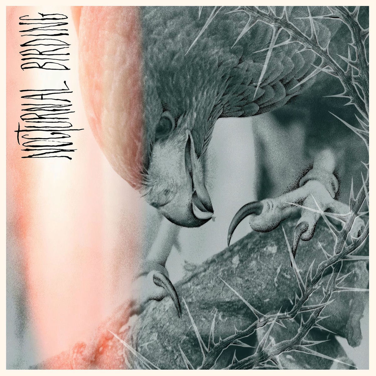 Album cover of Titanis