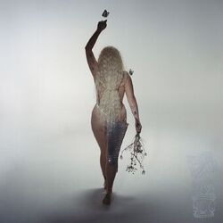 Cover of HURRICANE