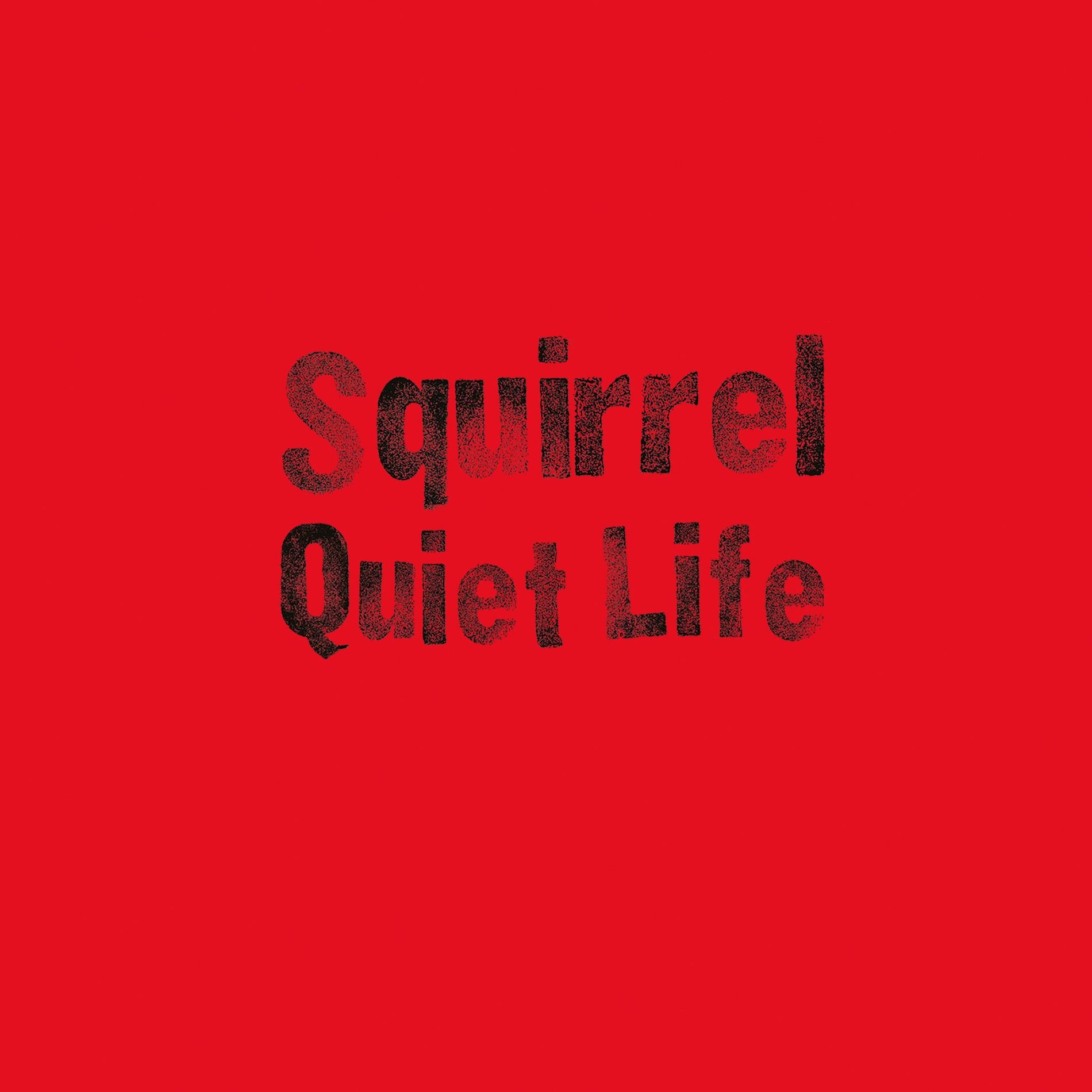 Album picture of Quiet Life