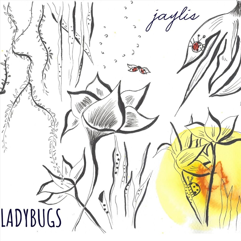 Picture of Ladybugs