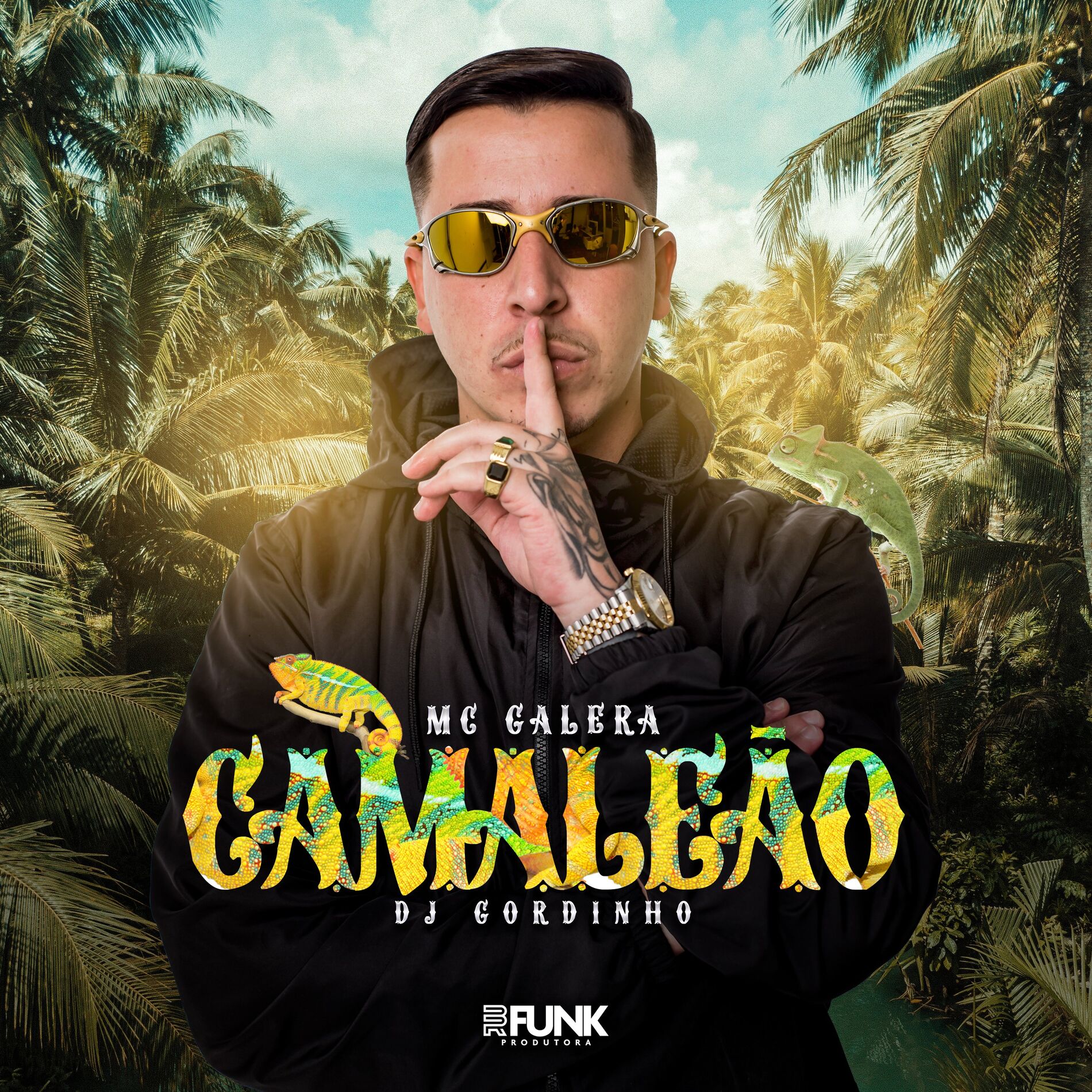 Album cover of Camaleão