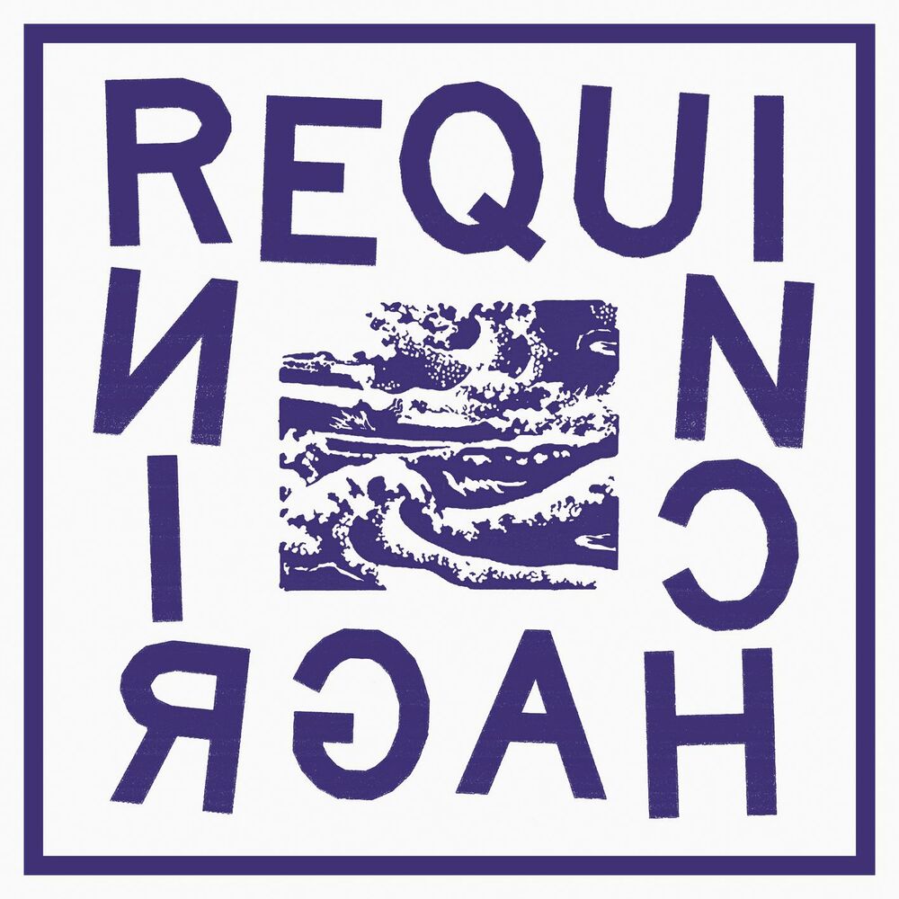 Picture of Requin Chagrin