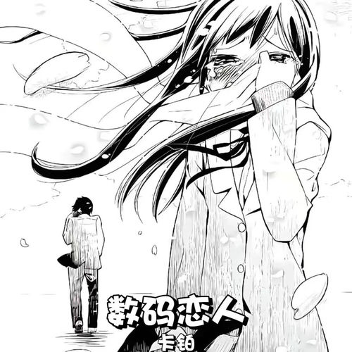 数码恋人