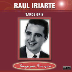 Cover of Tarde Gris