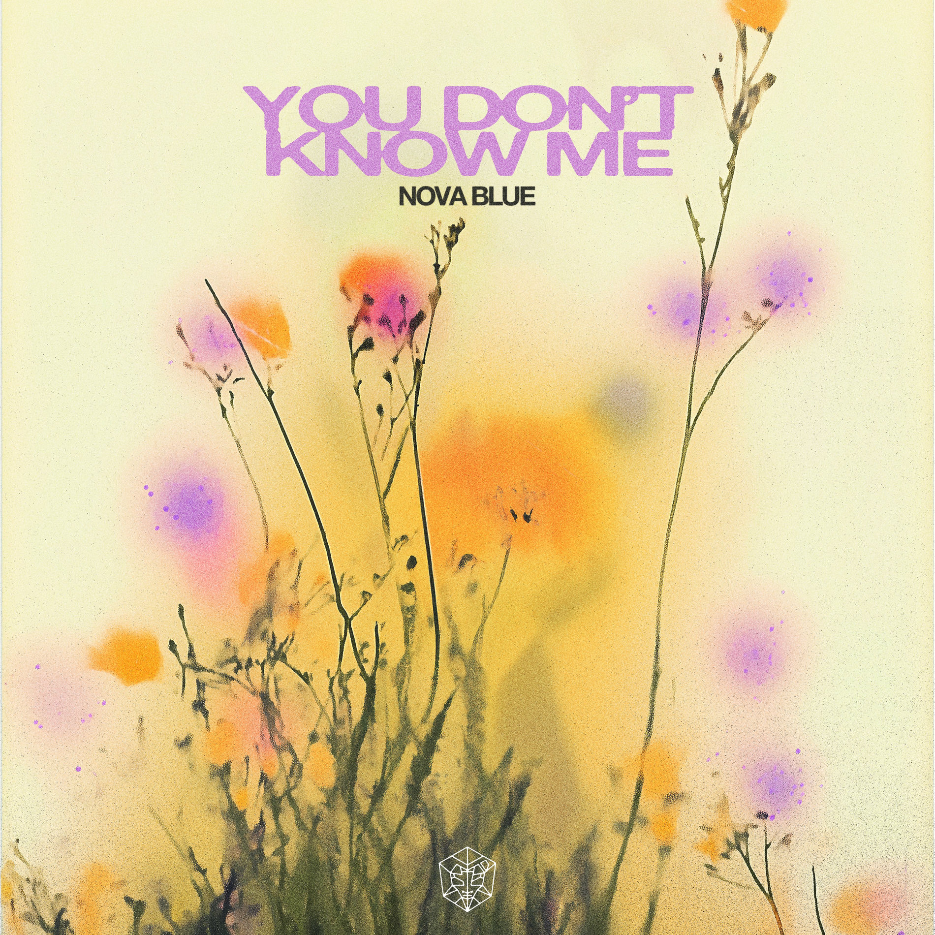 Album cover of You Don't Know Me