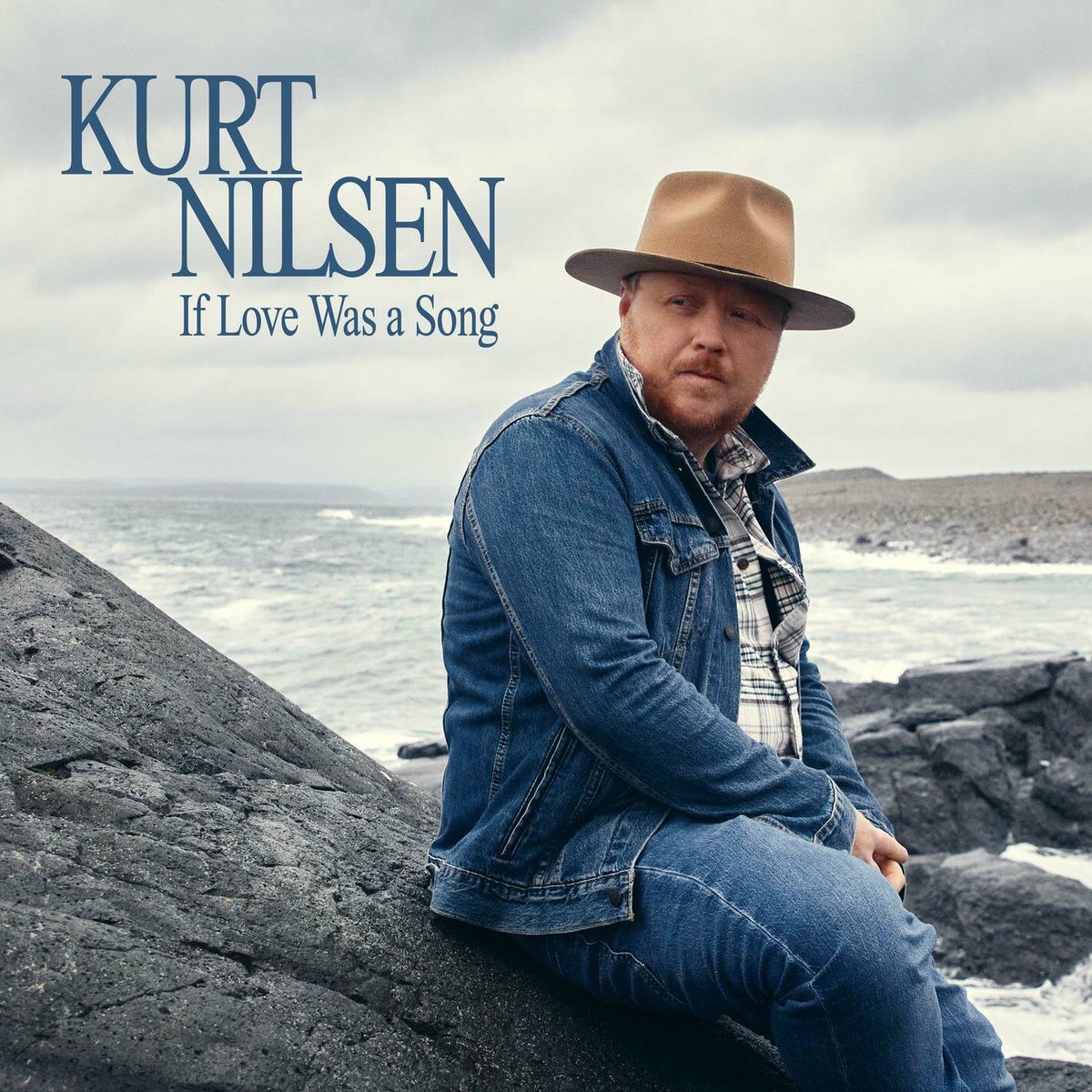 Album cover of If Love Was A Song
