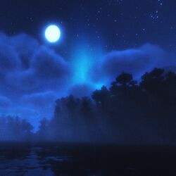Cover of lonely nights