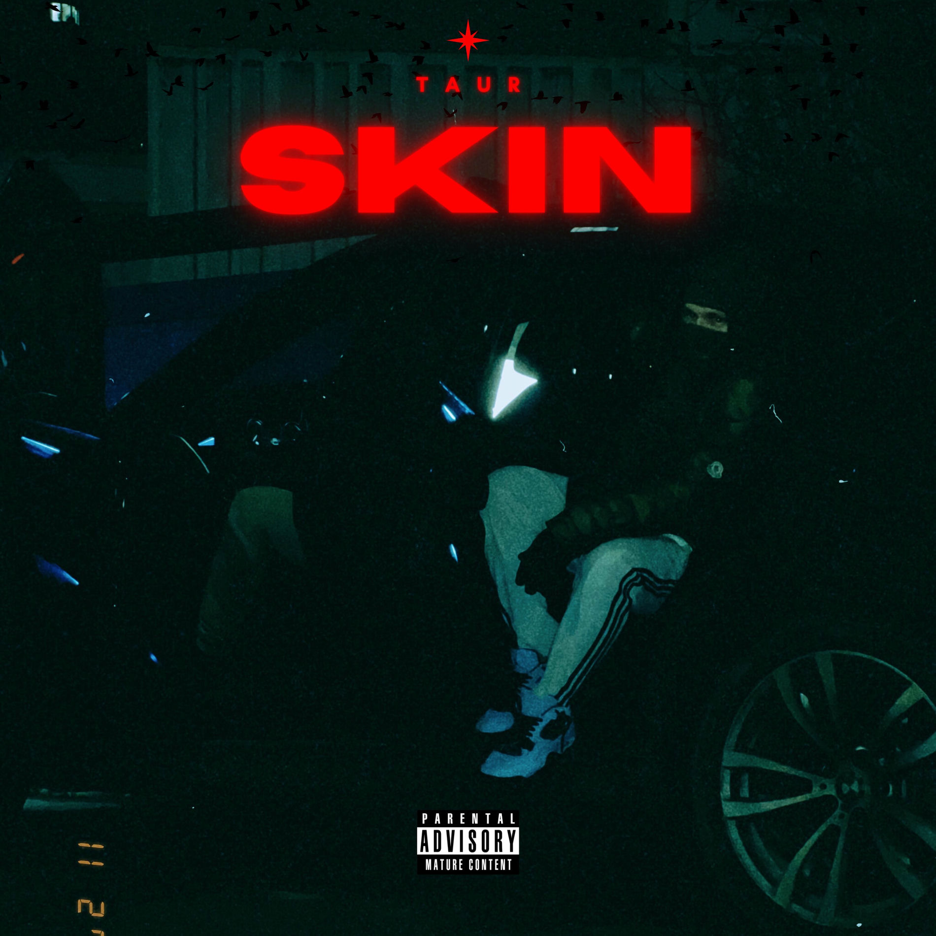 Album cover of Skin