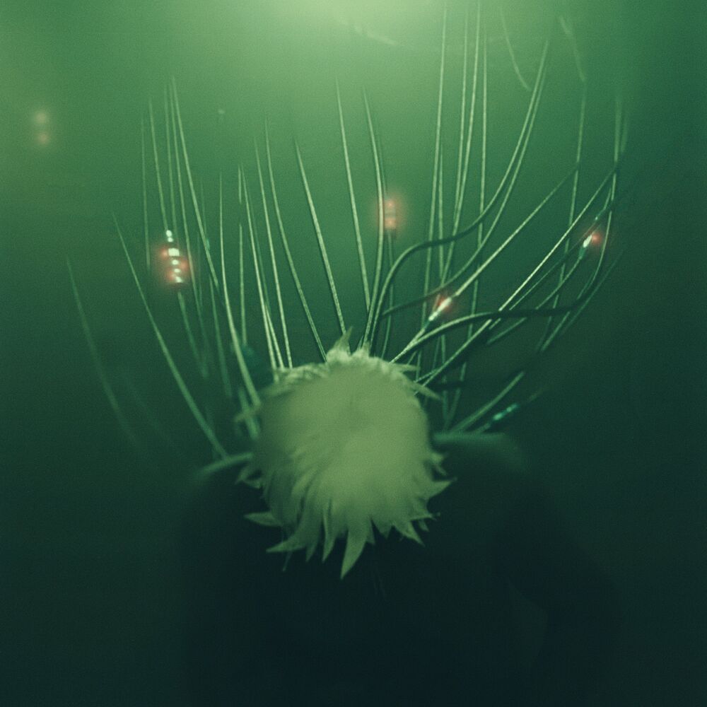 Picture of Ether