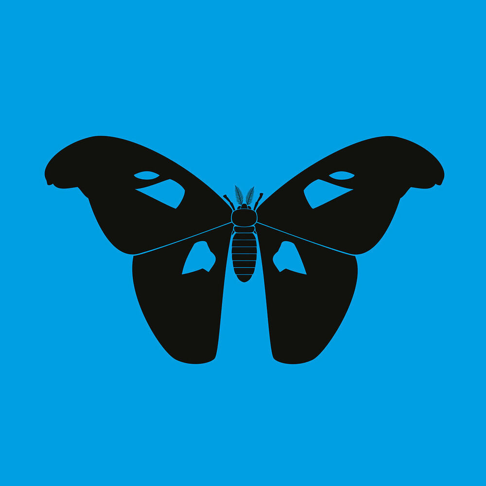 Picture of The Butterfly Effect LP