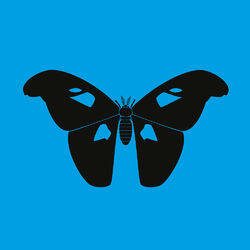 Cover of The Butterfly Effect LP