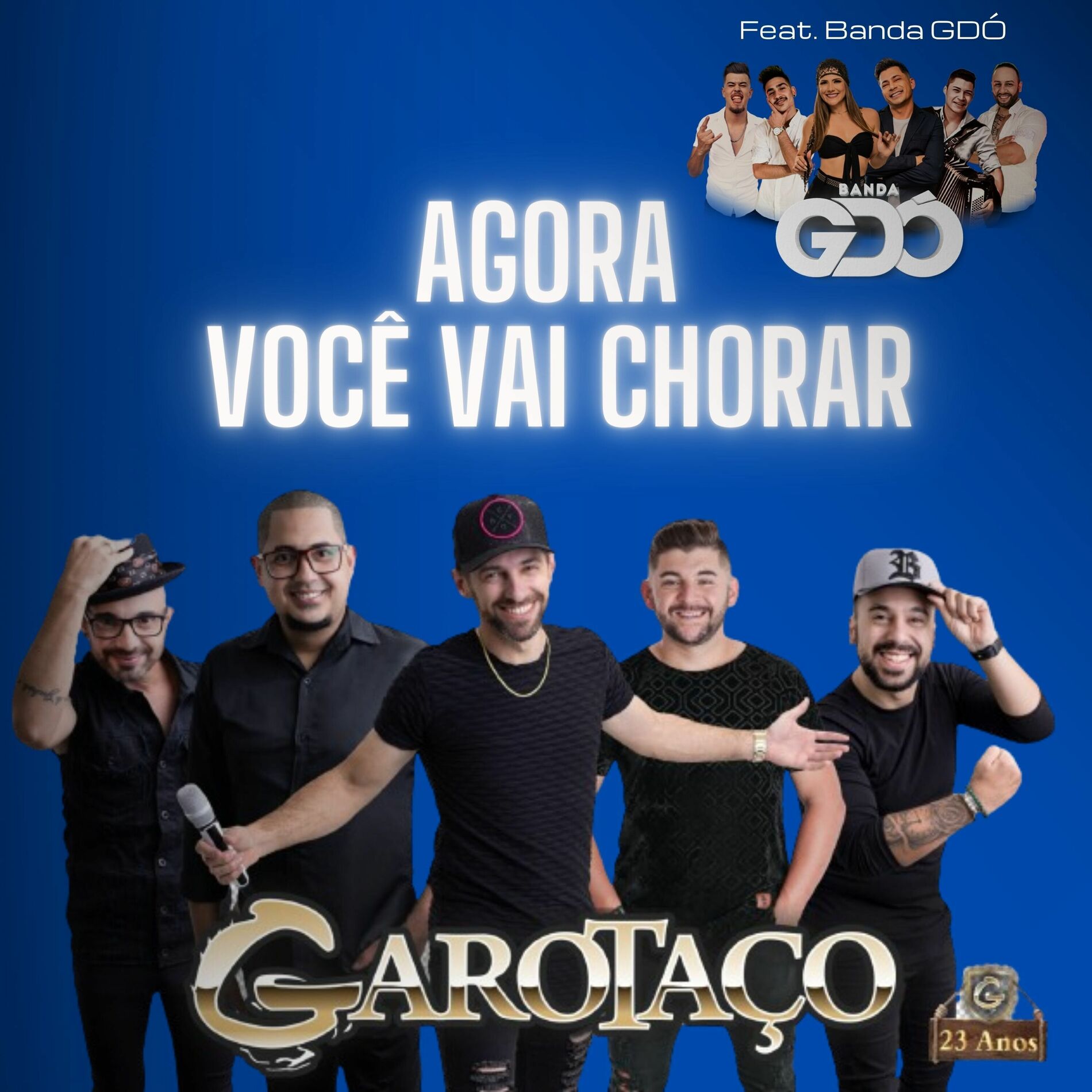 Album cover of Agora Você Vai Chorar