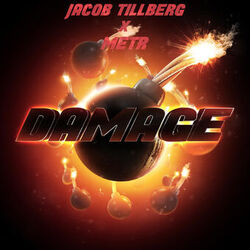 Cover of Damage