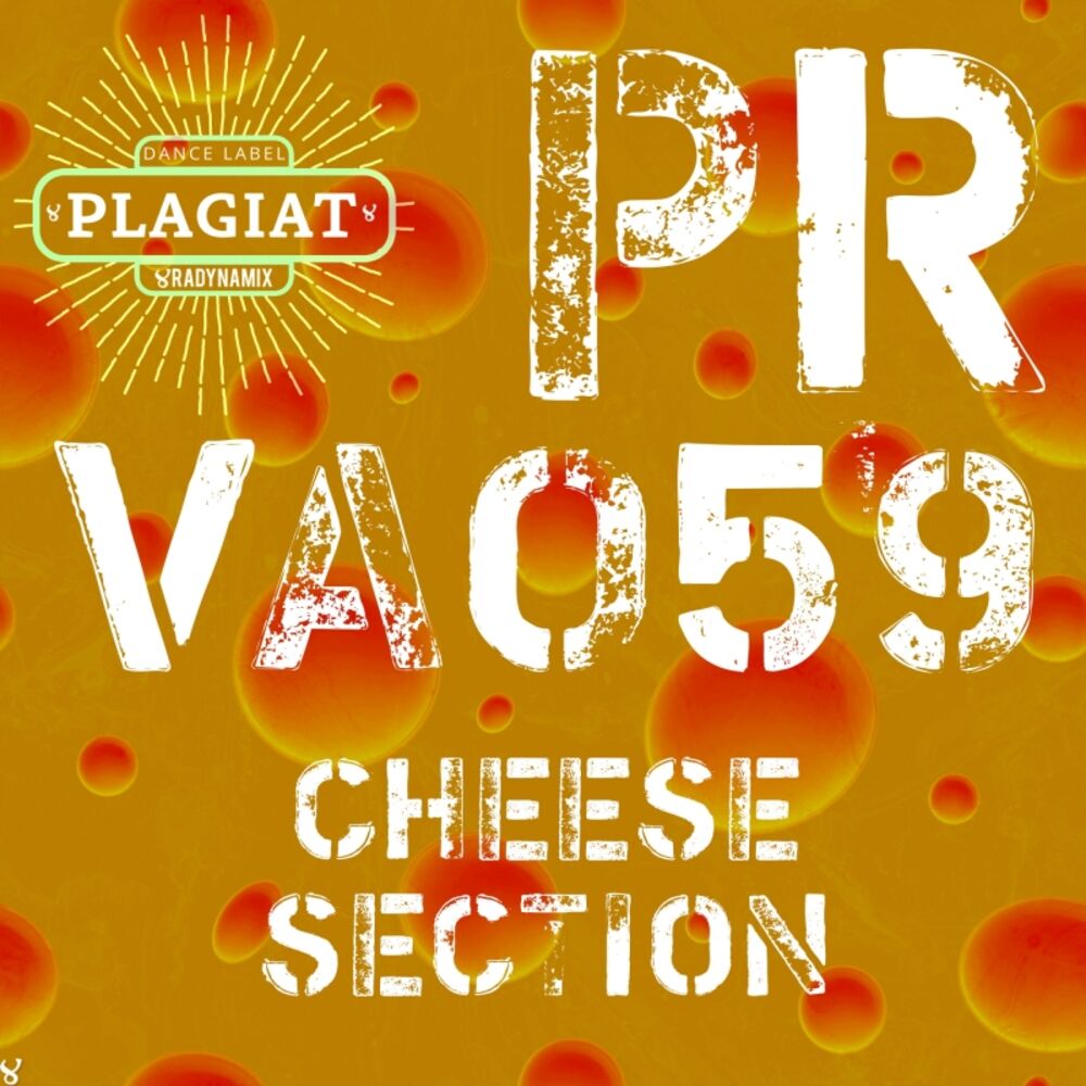 Picture of Cheese Section