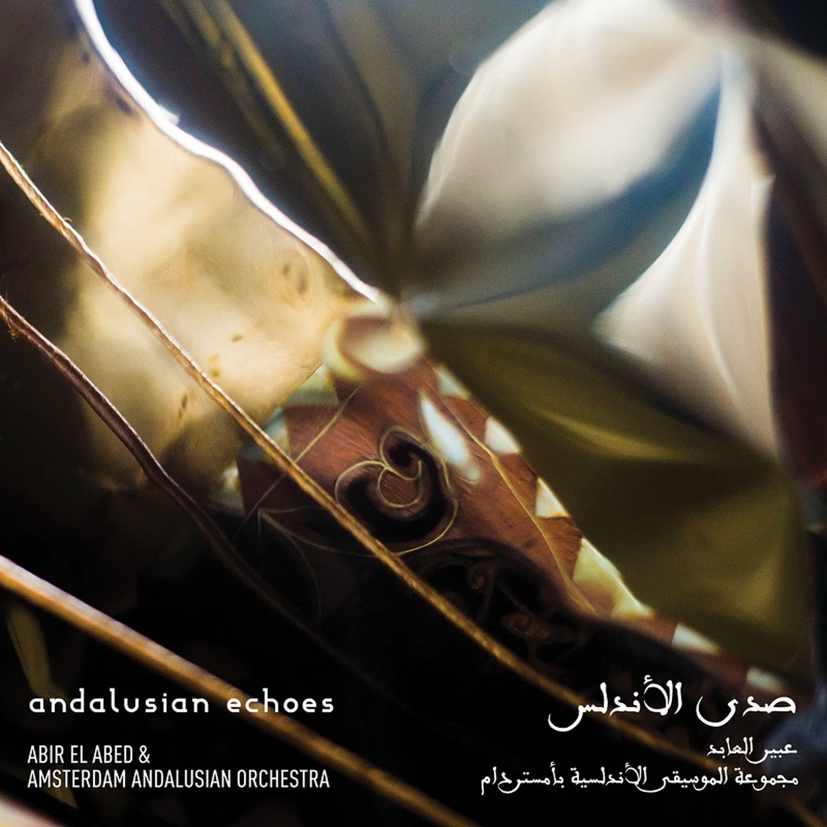 Album cover of Andalusian Echoes