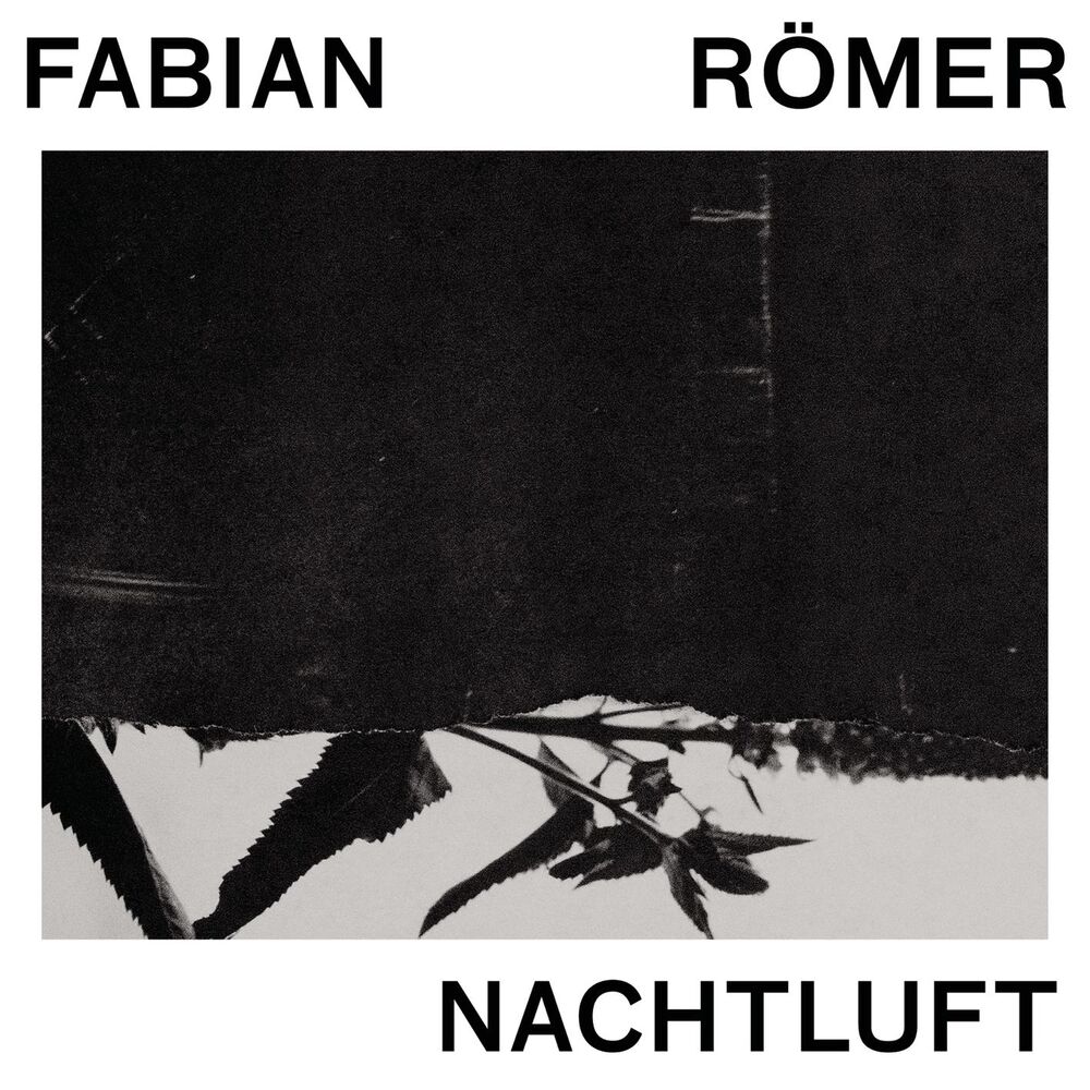Picture of Nachtluft
