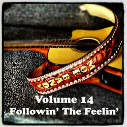 Cover of Volume 14 - Followin' The Feelin'