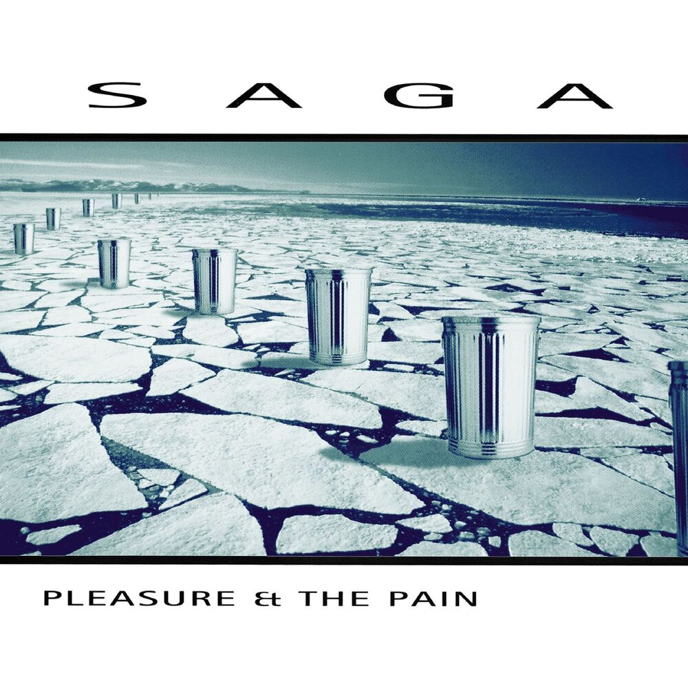 Picture of Pleasure and the Pain (2016 Version)