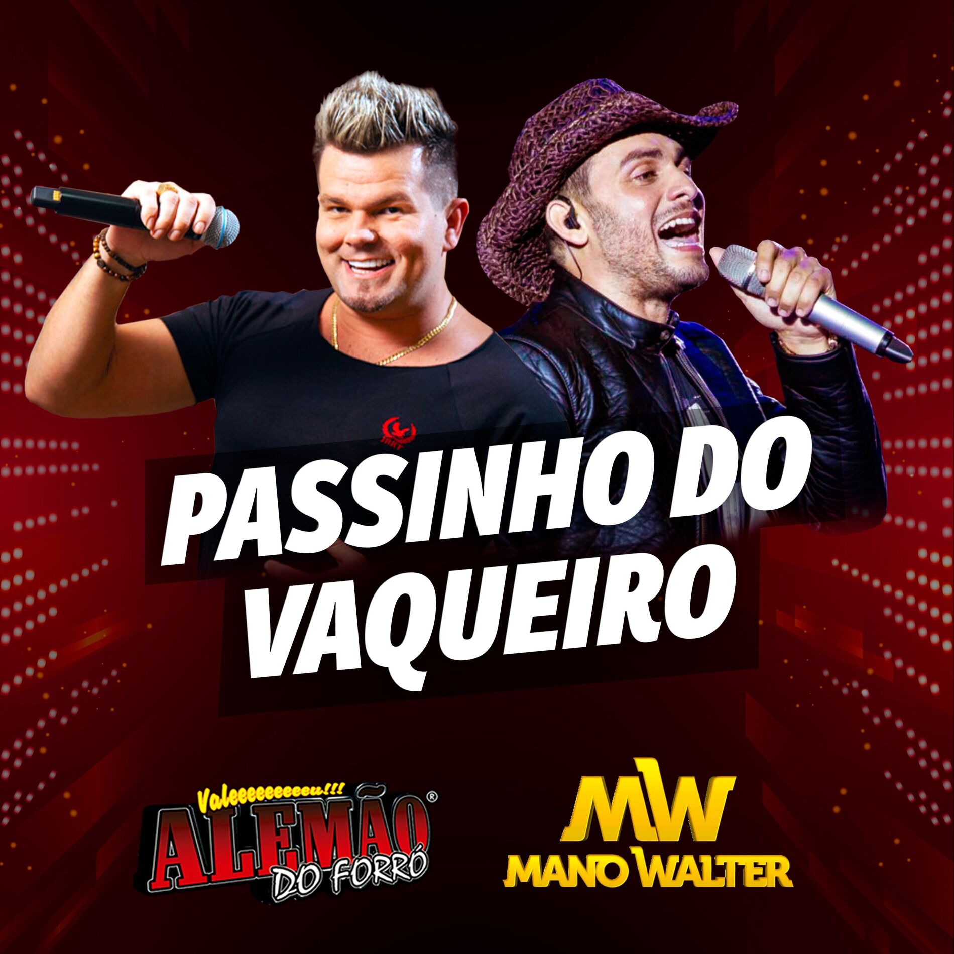 Album cover of Passinho do Vaqueiro