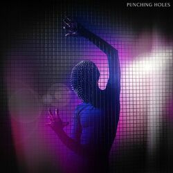 Cover of Punching Holes