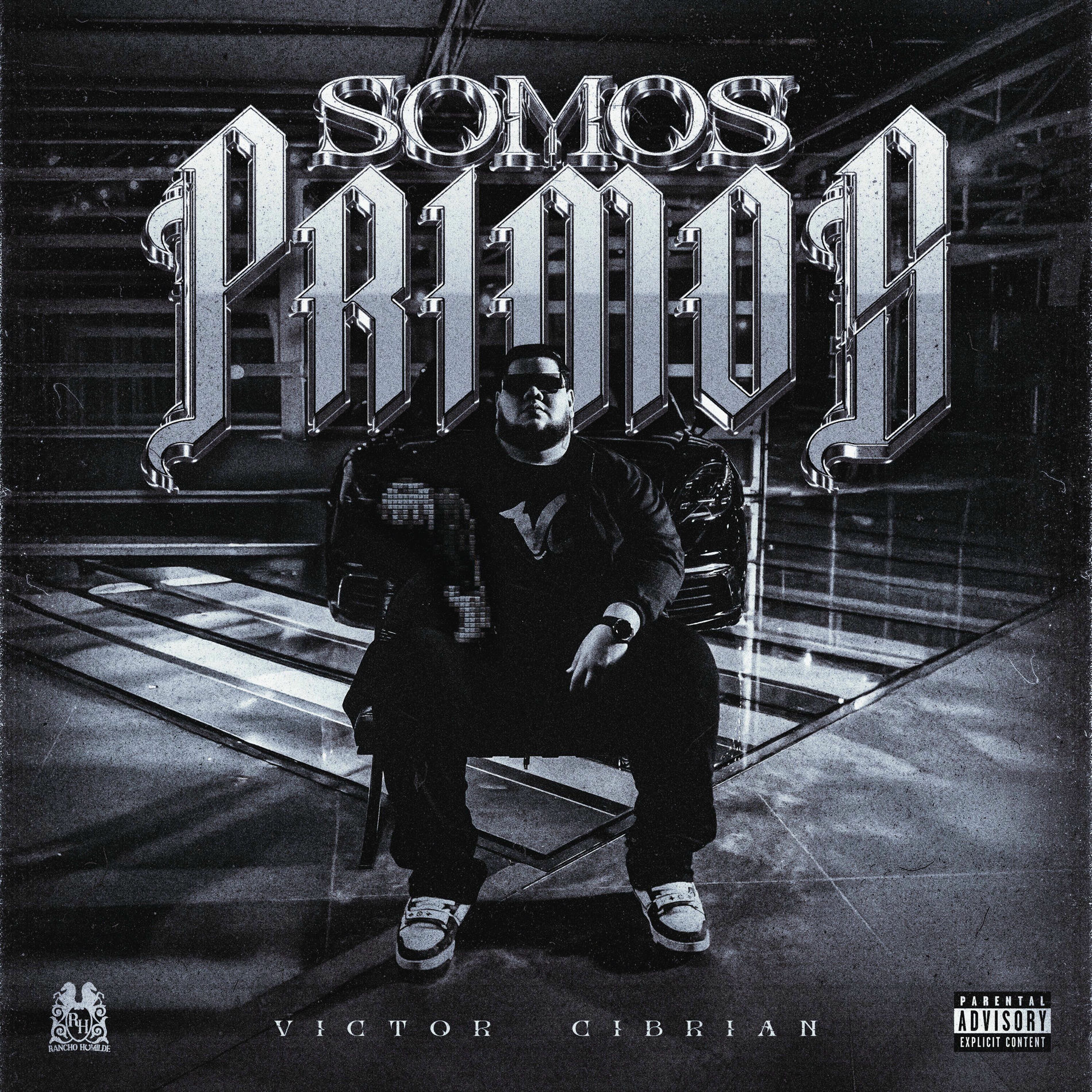 Album cover of Somos Primos