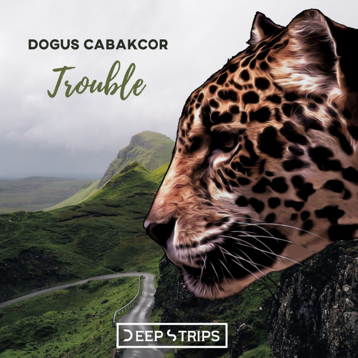 Album cover of Trouble