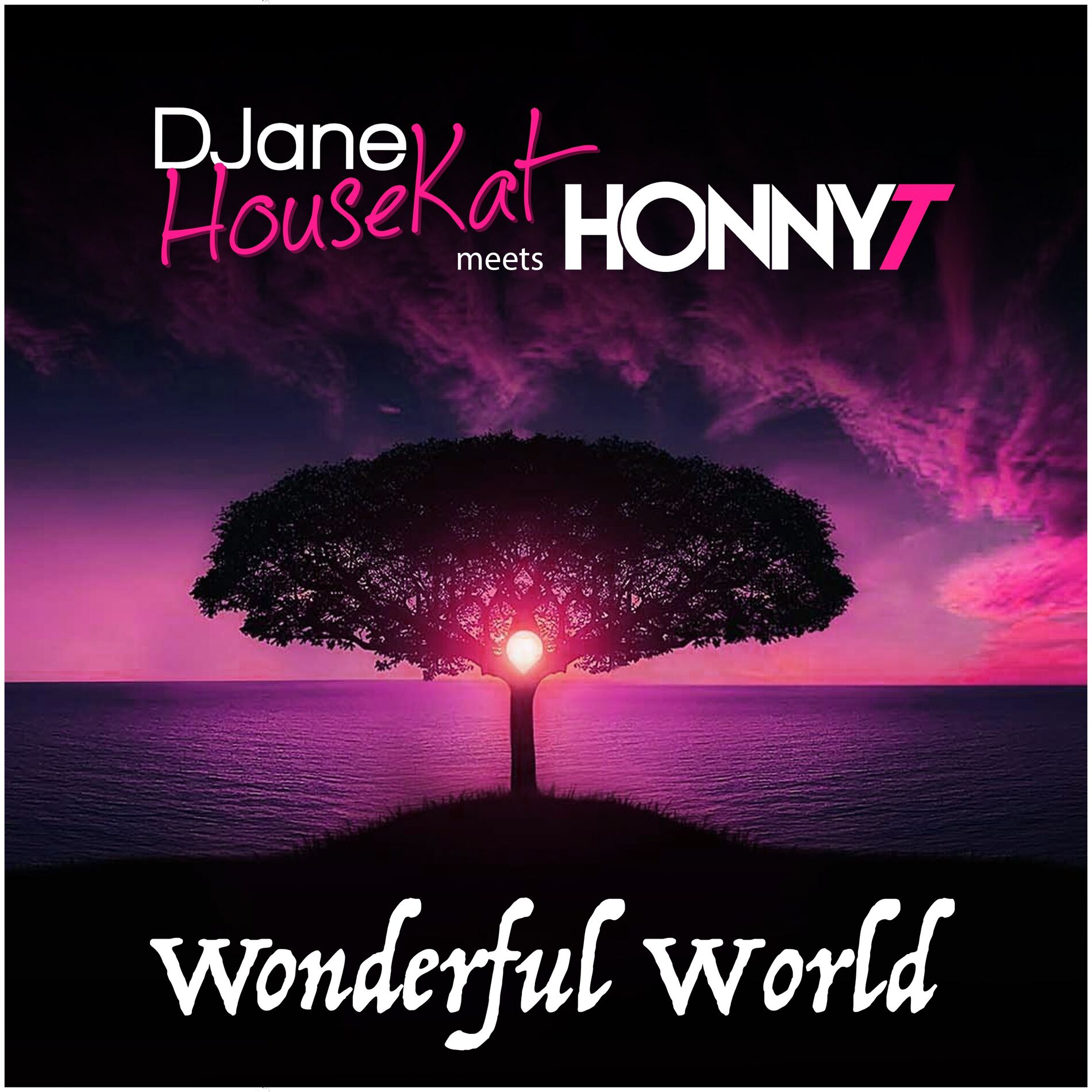 Album cover of Wonderful World