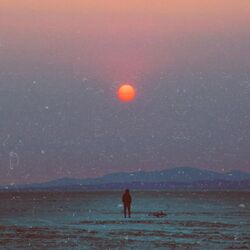 Cover of Moody