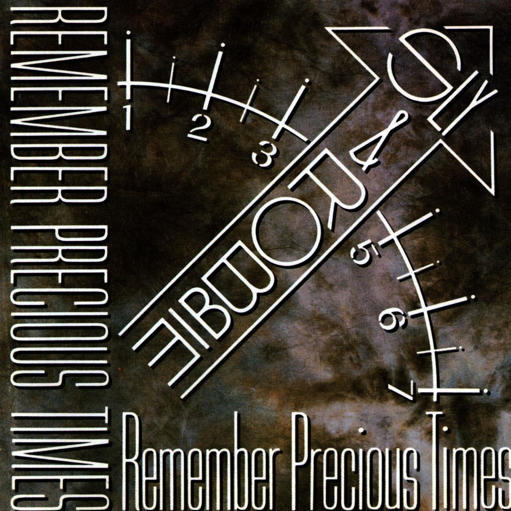 Remember Precious Times cover