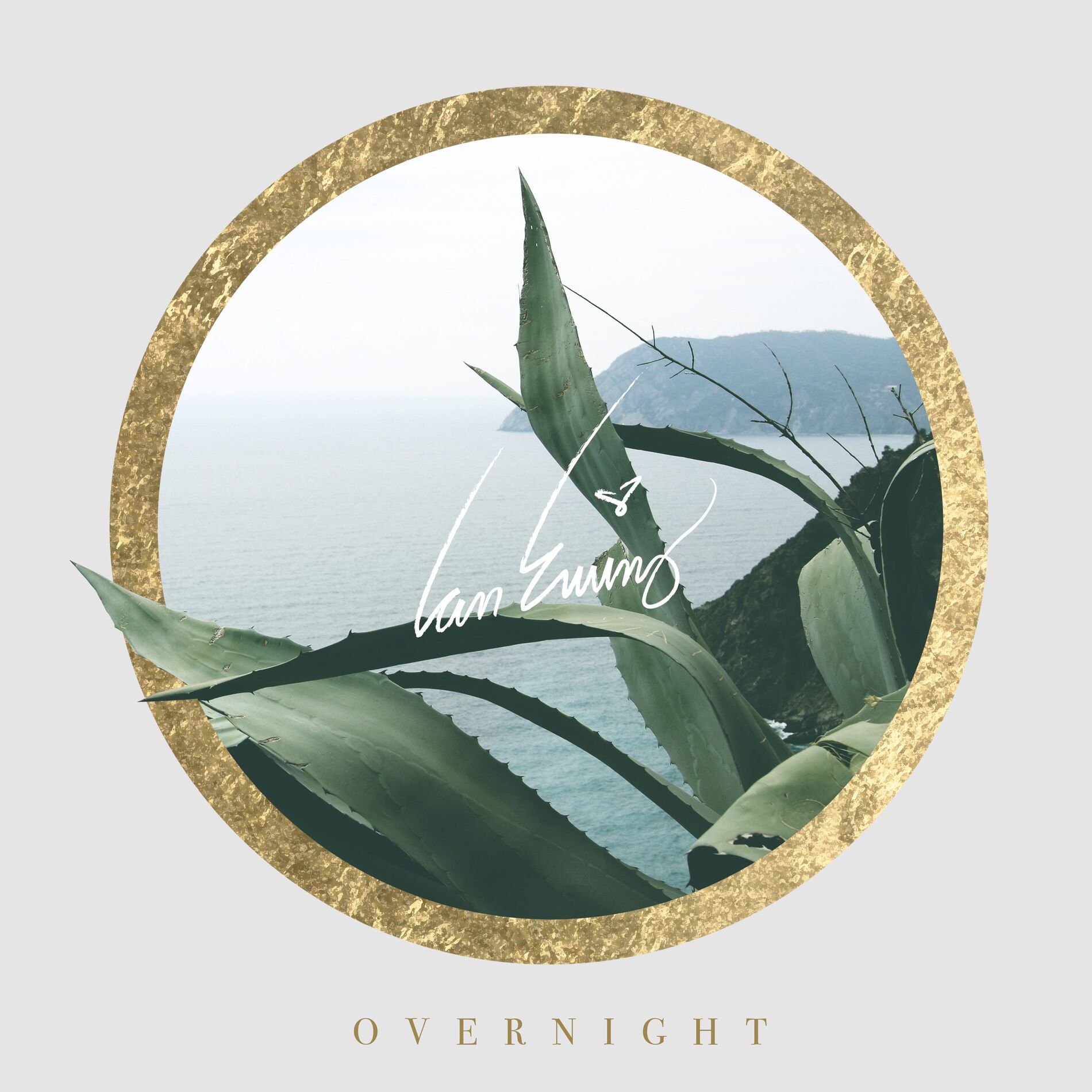 Album cover of Overnight