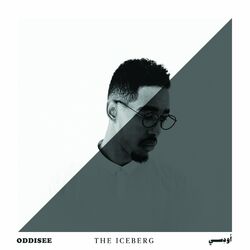 Cover of The Iceberg